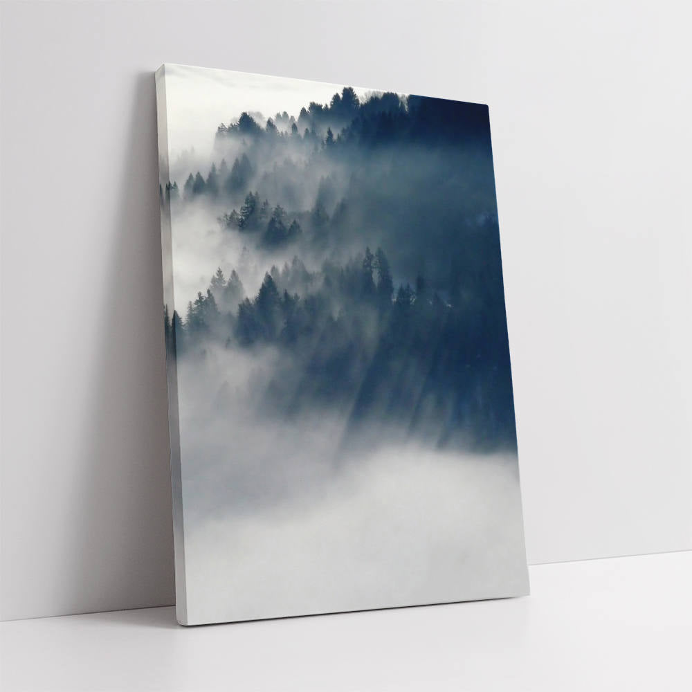 A Silence in the Dark Canvas