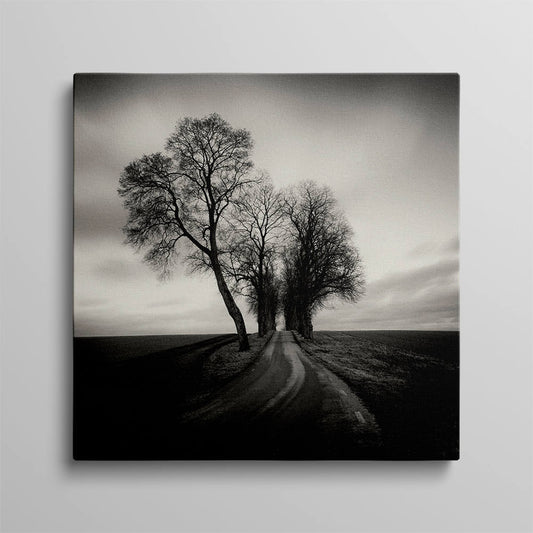 Silhouettes Whispering in Moonlit Silence Canvas