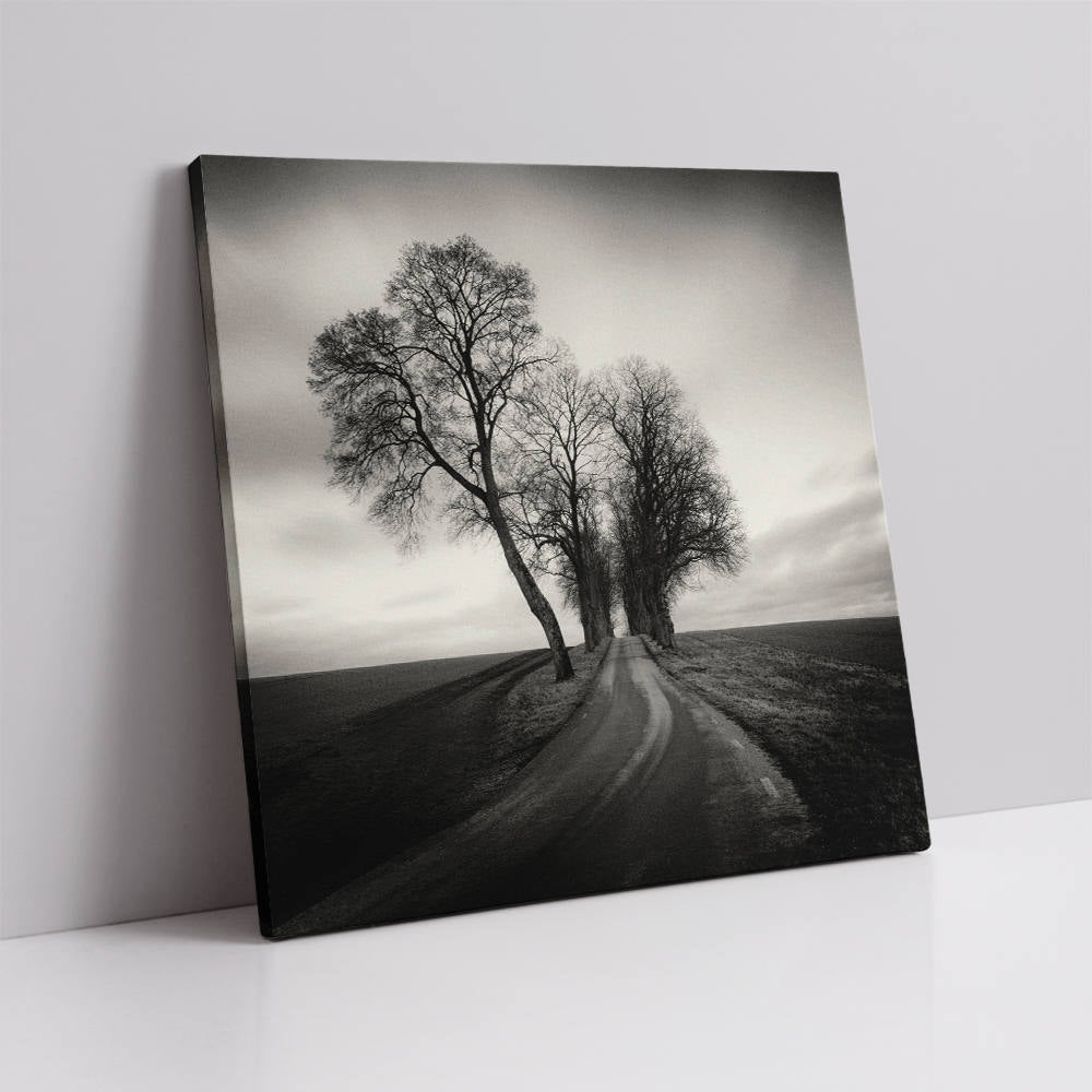 Silhouettes Whispering in Moonlit Silence Canvas