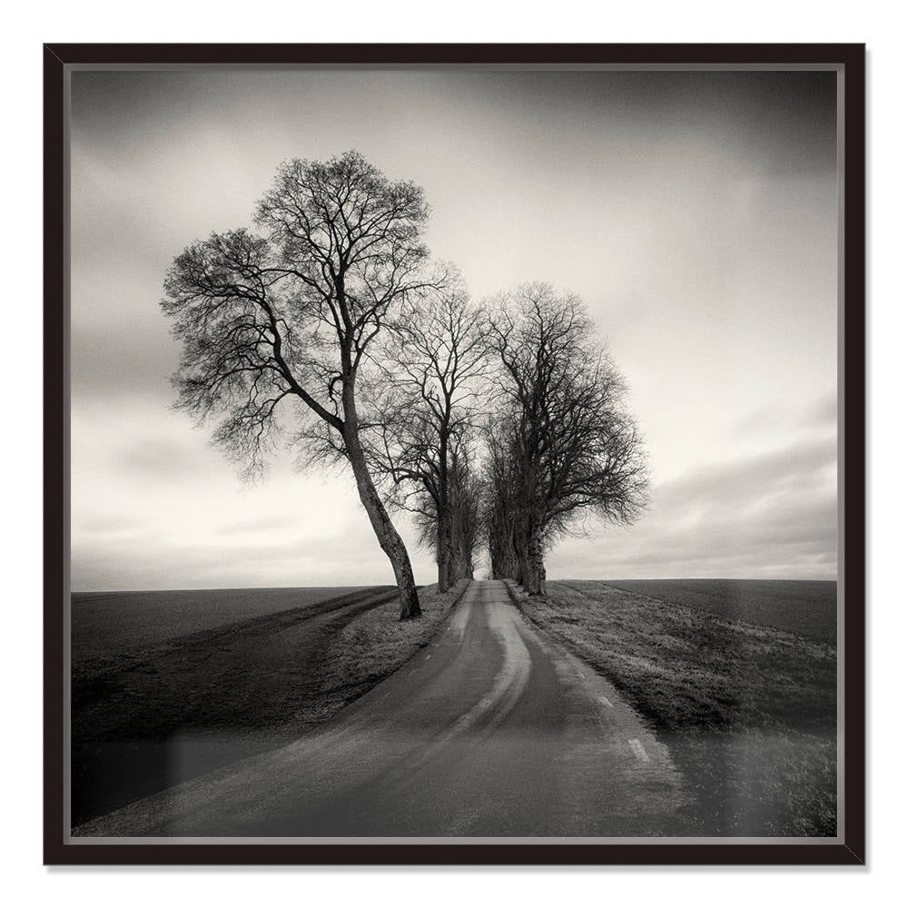 Silhouettes Whispering in Moonlit Silence Canvas