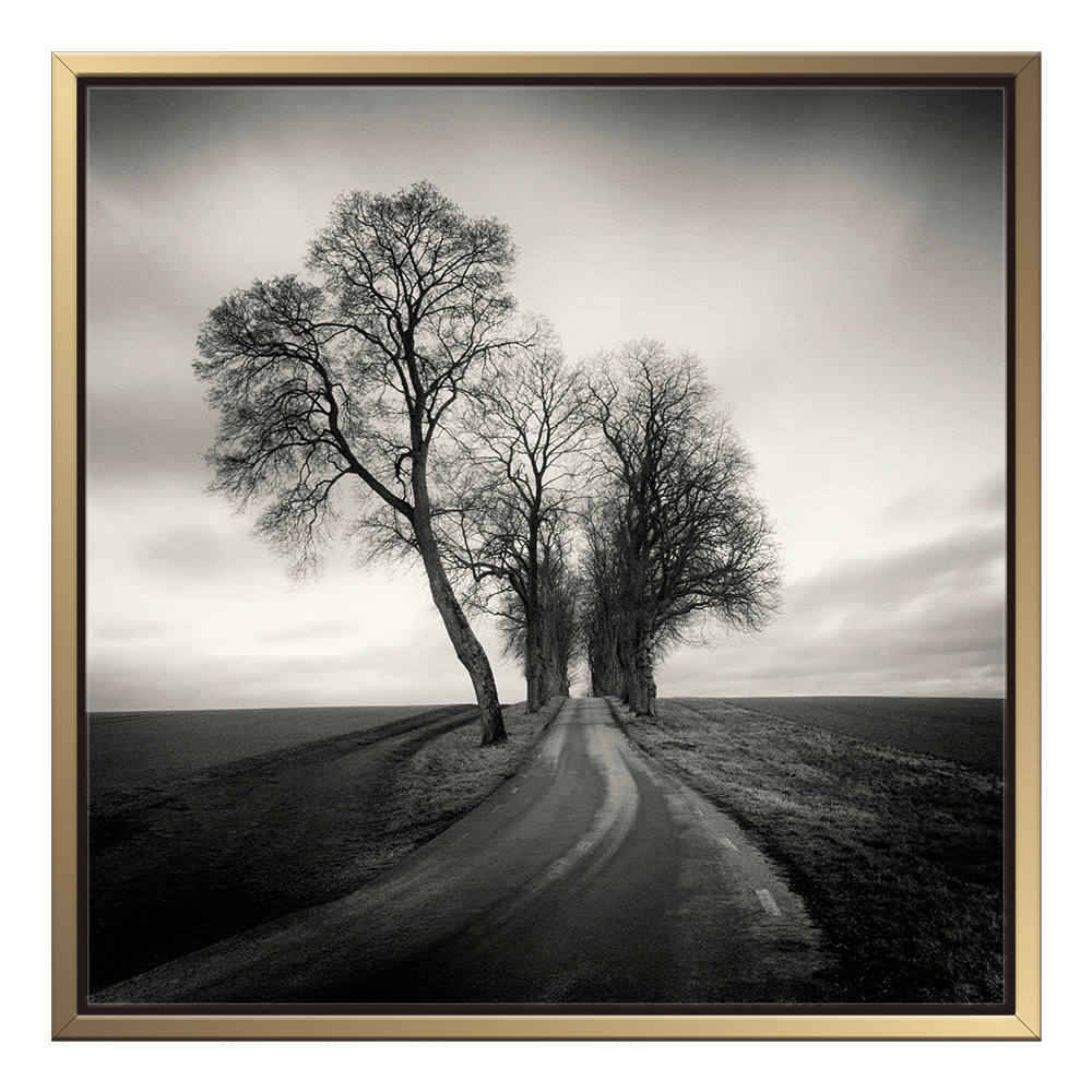 Silhouettes Whispering in Moonlit Silence Canvas