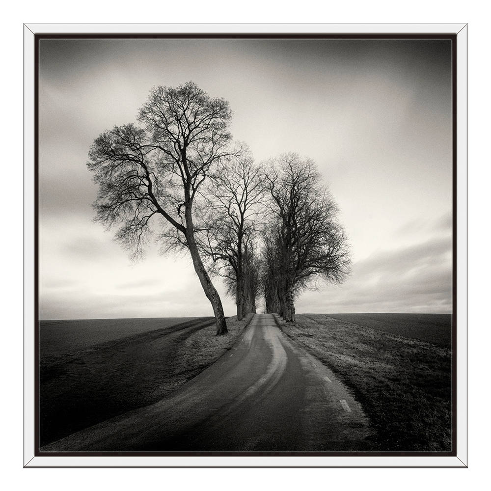 Silhouettes Whispering in Moonlit Silence Canvas