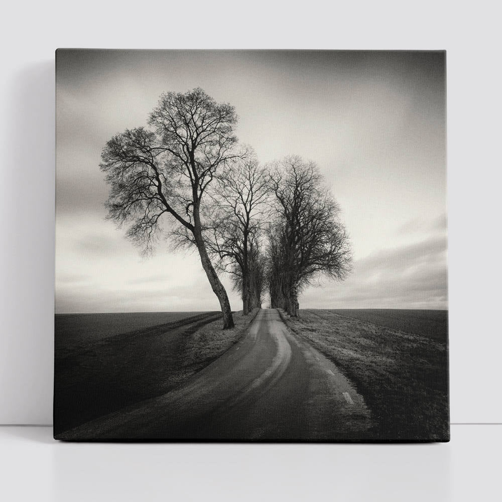 Silhouettes Whispering in Moonlit Silence Canvas