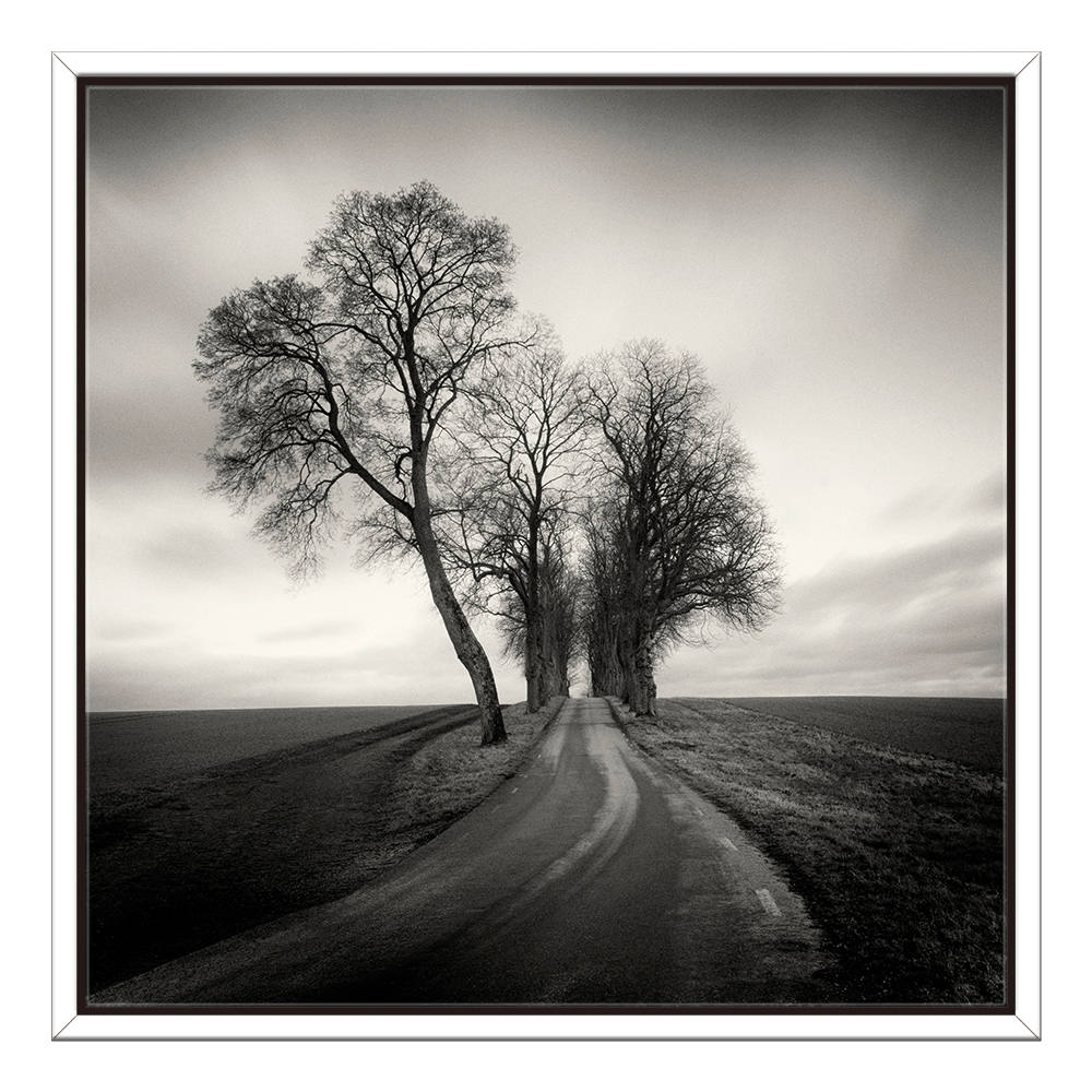 Silhouettes Whispering in Moonlit Silence Canvas