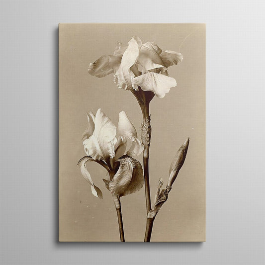 Elegance in Beige Petals Canvas