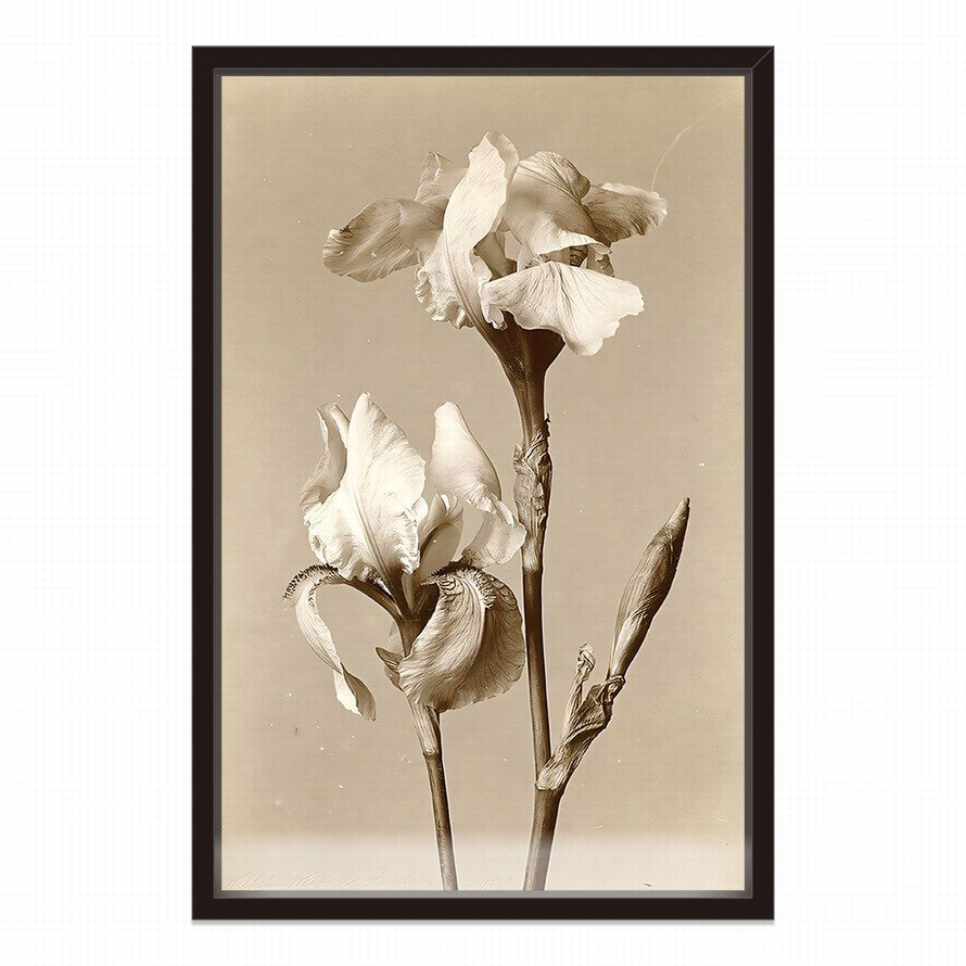Elegance in Beige Petals Canvas