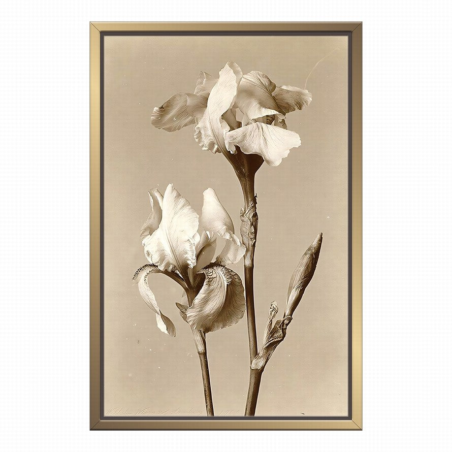 Elegance in Beige Petals Canvas