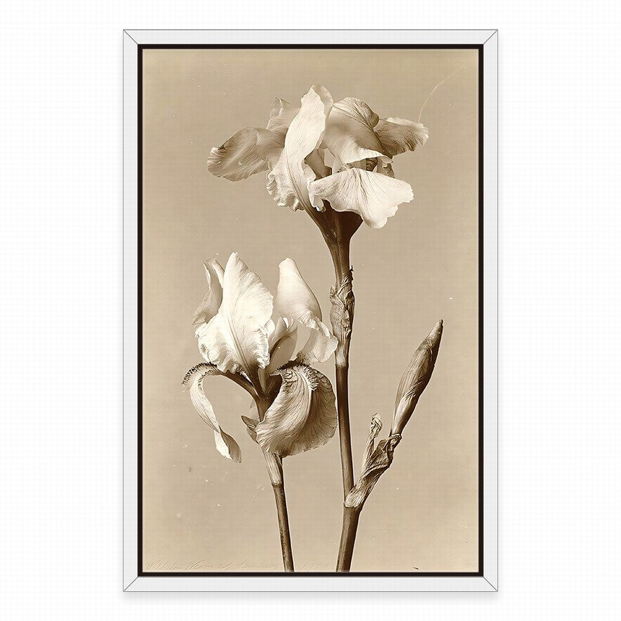 Elegance in Beige Petals Canvas