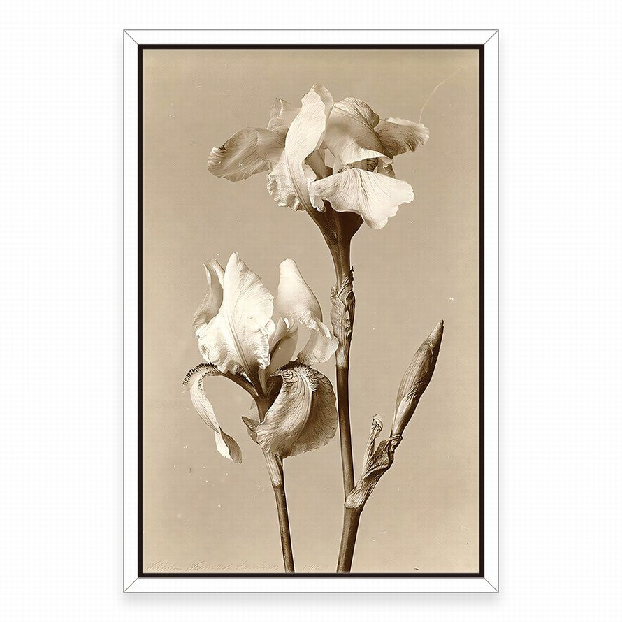 Elegance in Beige Petals Canvas