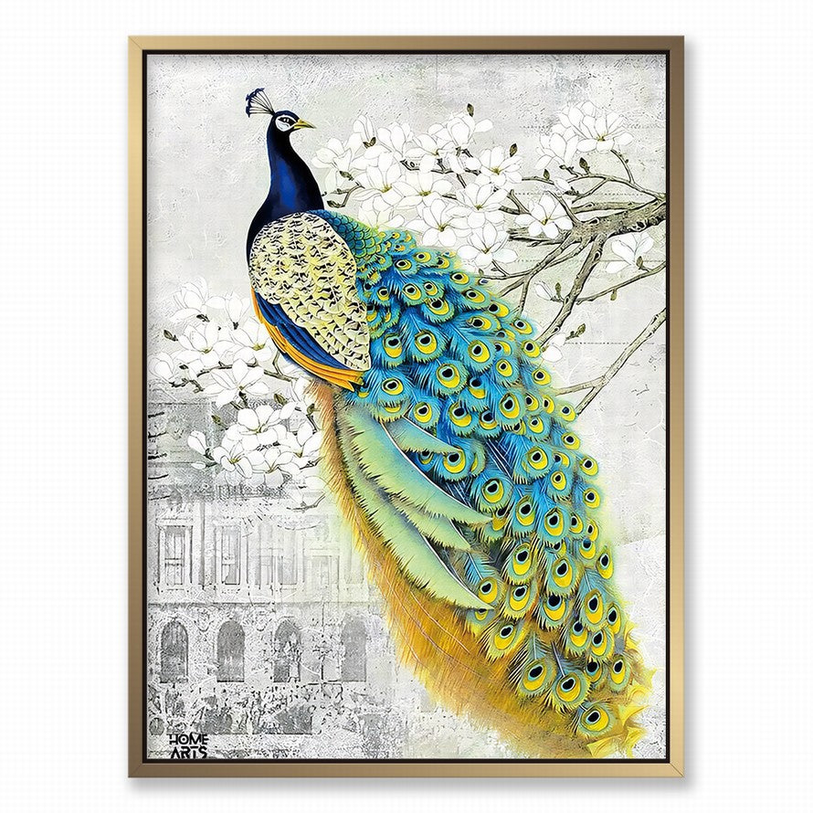 Plumage Amongst Cream Blossoms Canvas