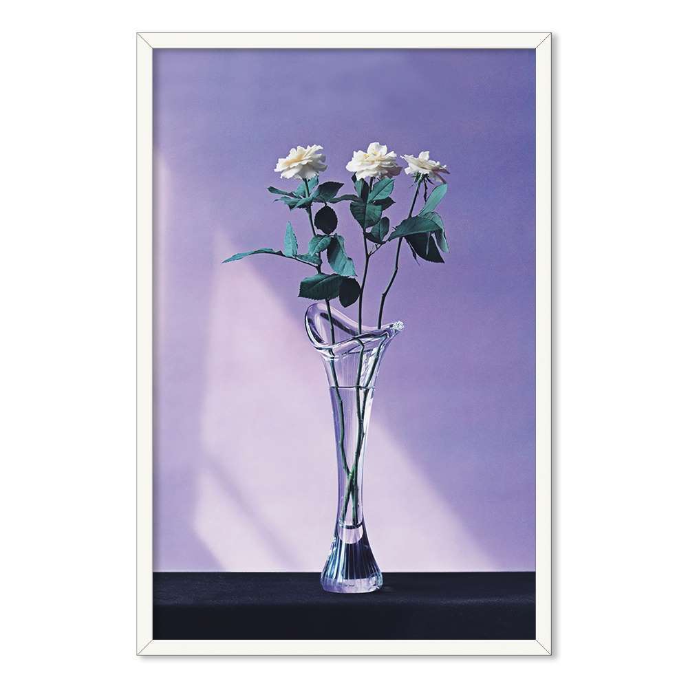 Morandi White Roses Prints