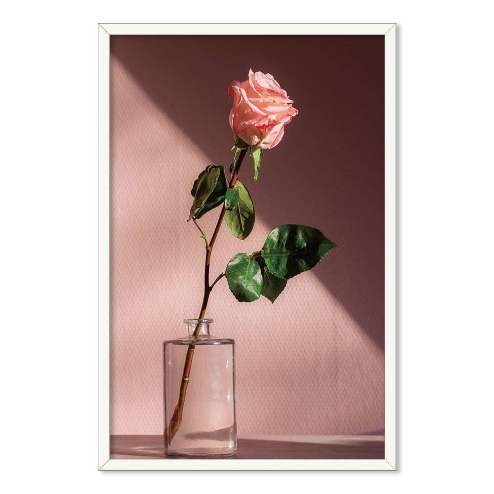 Morandi Pink Flower  Prints