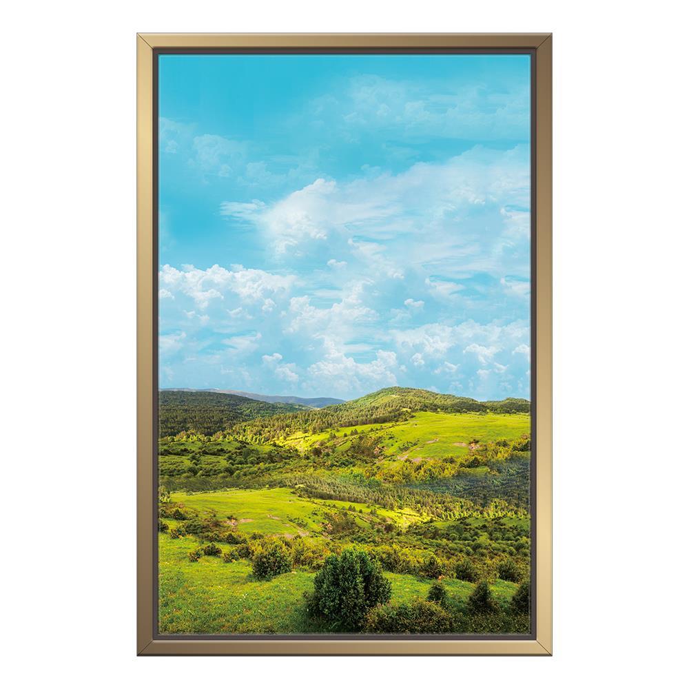 Mountain View Home Decoration Canvas