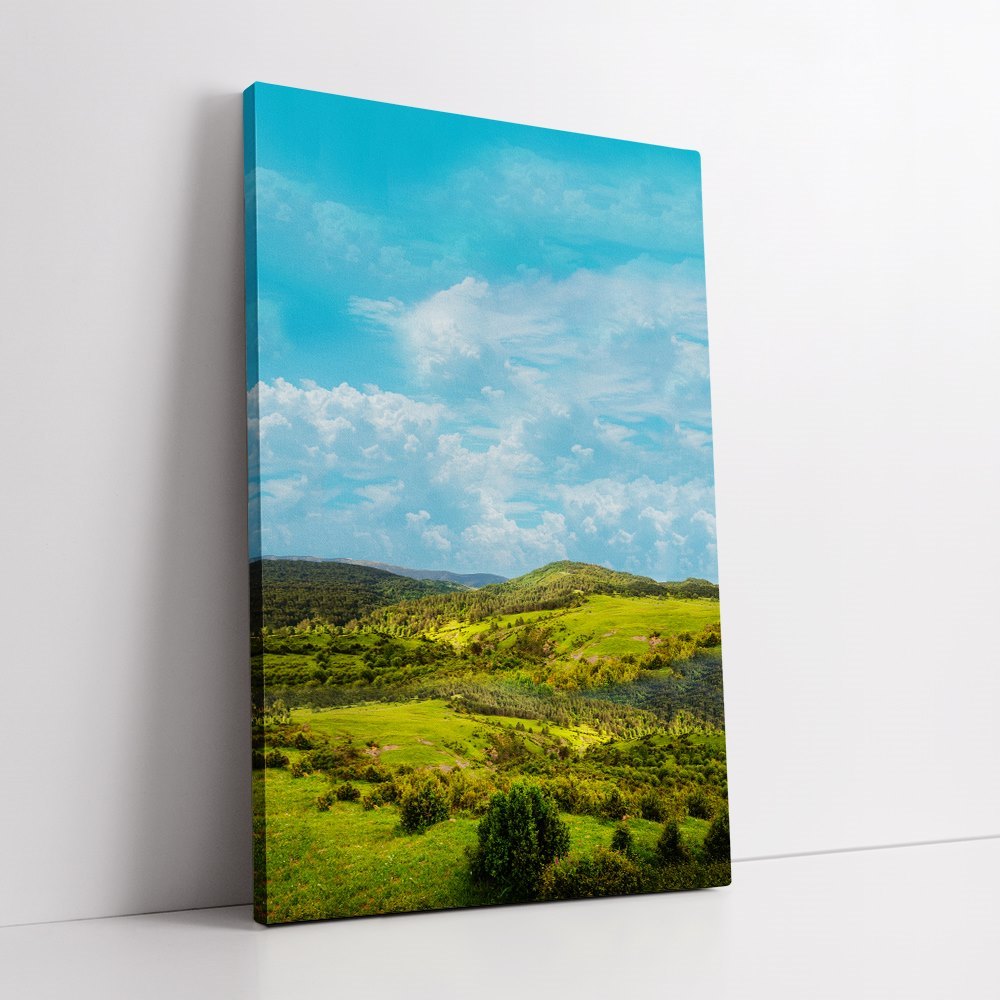 Mountain View Home Decoration Canvas