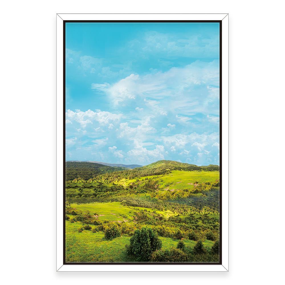 Mountain View Home Decoration Canvas
