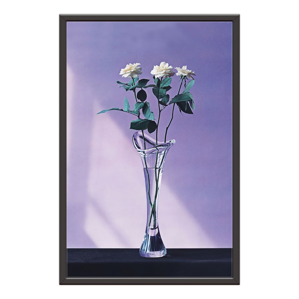 Morandi White Roses Prints