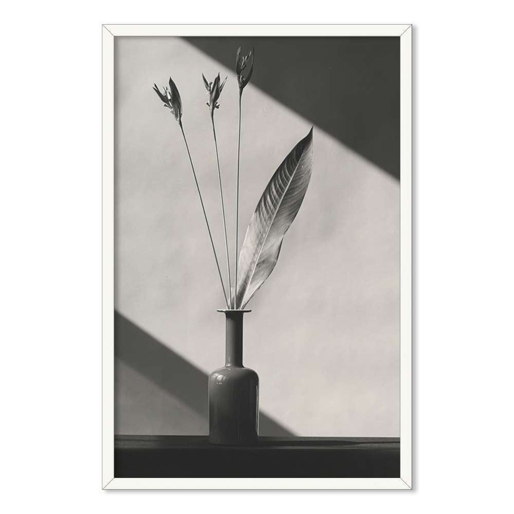 Morandi Aesthetic B&W Wall Art Prints